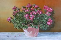 Geranium, olieverf op doek, 40 x 60 cm, agdj’16 Copyright